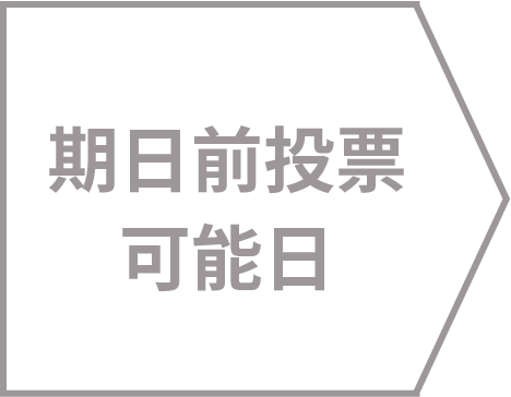 期日前投票可能日